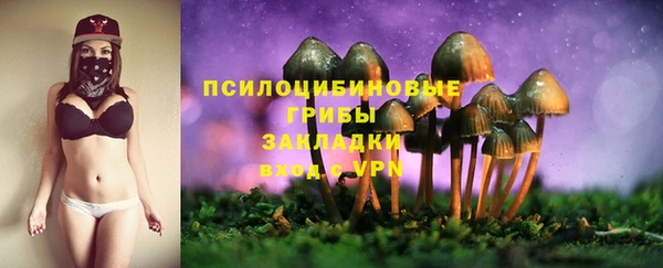 тгк Абинск