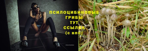 тгк Абинск