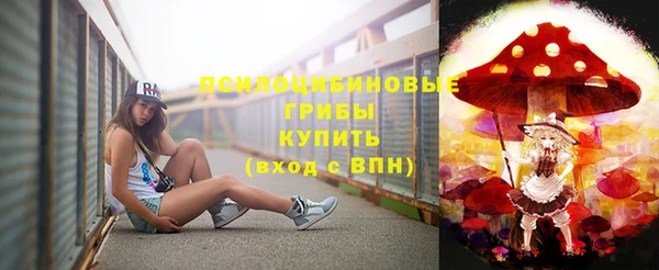 тгк Абинск